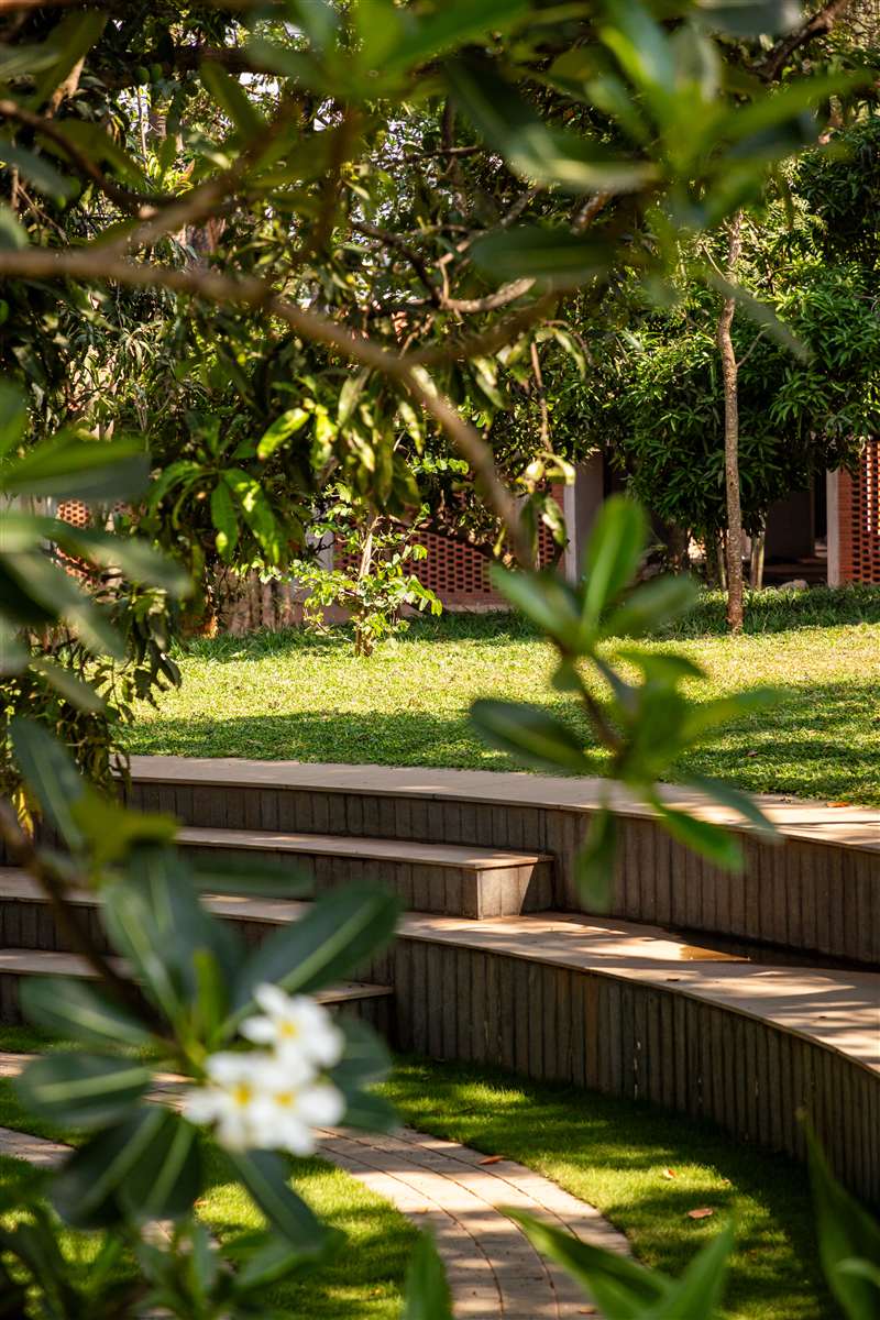 Landscaped garden steps with frangipani blooms