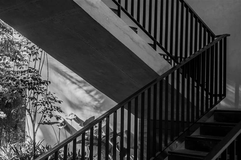 Contemporary staircase with metal railing and plants